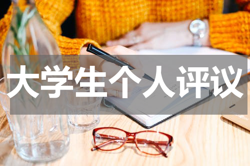 大学生个人评议
