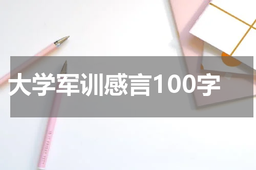 大学军训感言100字