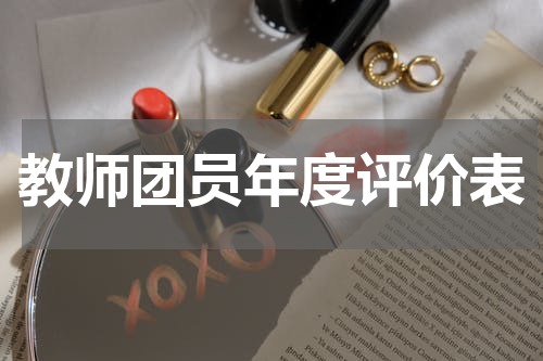 教师团员年度评价表