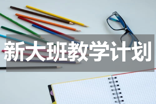 新大班教学计划