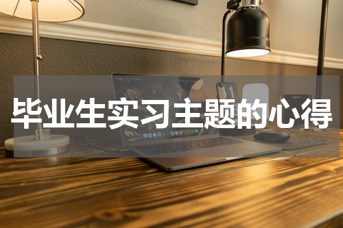 毕业生实习主题的心得
