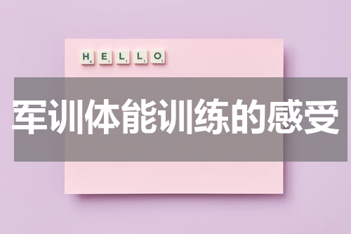 军训体能训练的感受