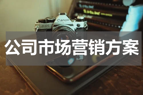 公司市场营销方案