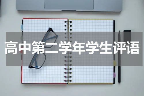 高中第二学年学生评语