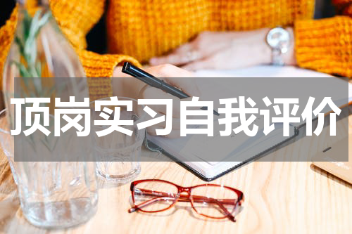 顶岗实习自我评价