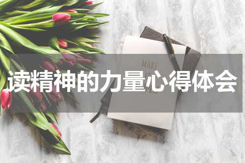 读精神的力量心得体会