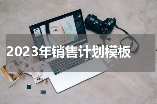 2023年销售计划模板