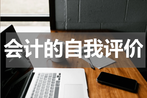 会计的自我评价