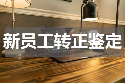 新员工转正鉴定