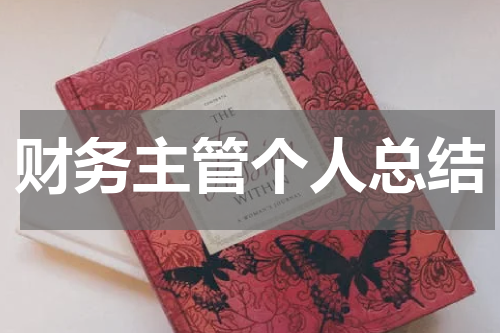财务主管个人总结