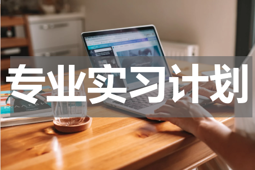 专业实习计划