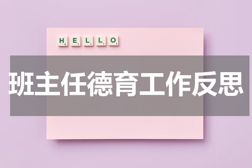 班主任德育工作反思