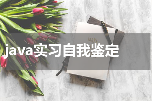 java实习自我鉴定