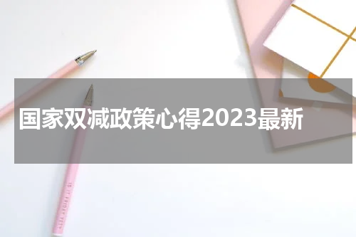 国家双减政策心得2023最新