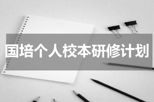 国培个人校本研修计划