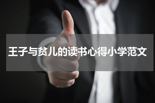 王子与贫儿的读书心得小学范文