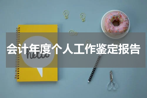 会计年度个人工作鉴定报告