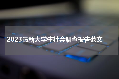 2023最新大学生社会调查报告范文