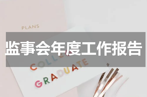 监事会年度工作报告