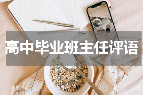 高中毕业班主任评语