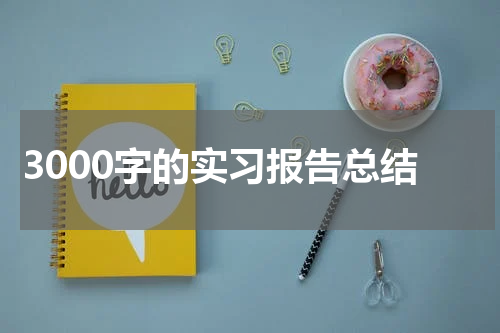3000字的实习报告总结