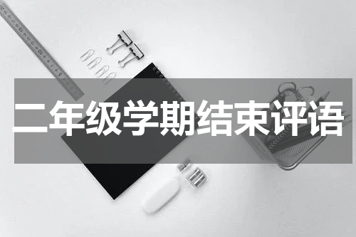 二年级学期结束评语