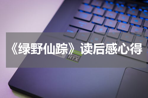《绿野仙踪》读后感心得