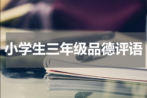 小学生三年级品德评语