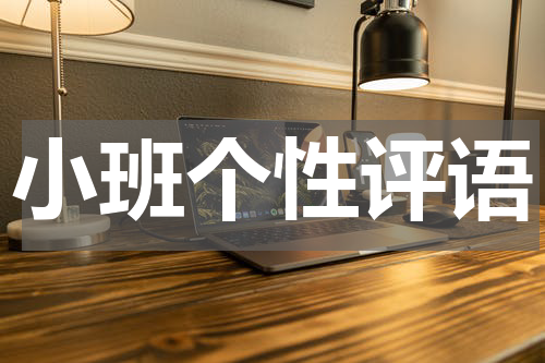 小班个性评语