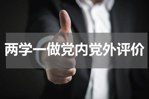 两学一做党内党外评价