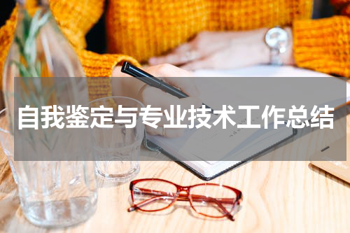 自我鉴定与专业技术工作总结