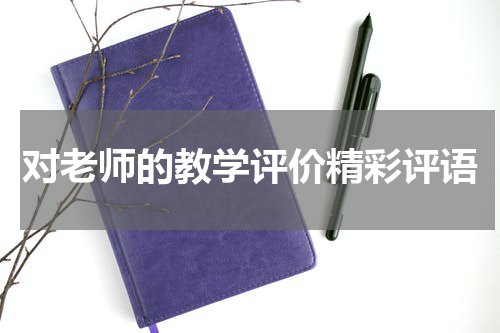 对老师的教学评价精彩评语