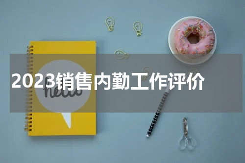 2023销售内勤工作评价