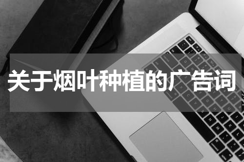 关于烟叶种植的广告词