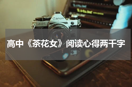 高中《茶花女》阅读心得两千字