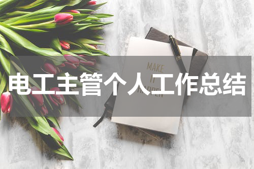 电工主管个人工作总结