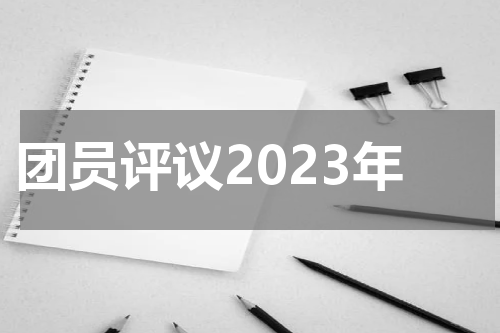 团员评议2023年