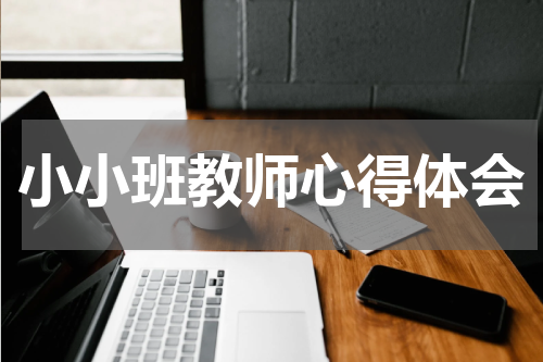 小小班教师心得体会