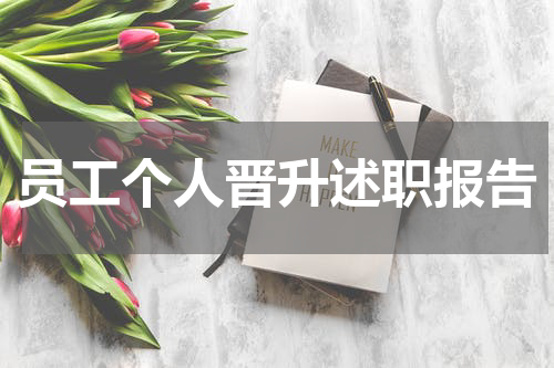 员工个人晋升述职报告