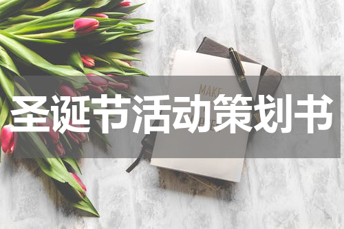 圣诞节活动策划书