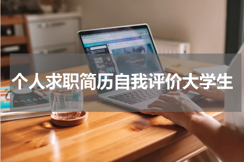 个人求职简历自我评价大学生