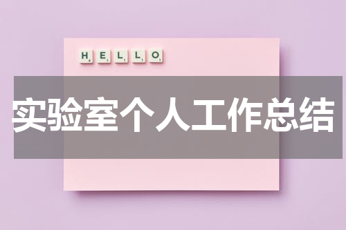 实验室个人工作总结