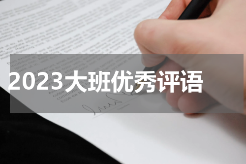 2023大班优秀评语