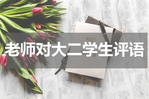 老师对大二学生评语
