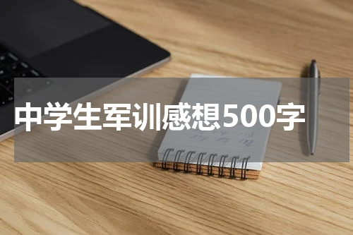 中学生军训感想500字