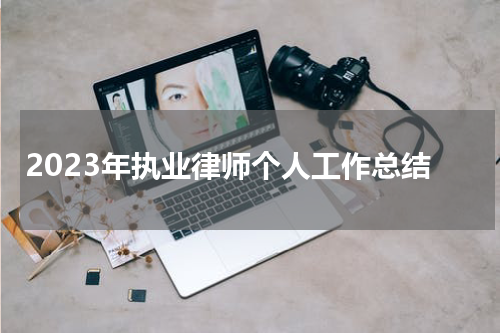 2023年执业律师个人工作总结