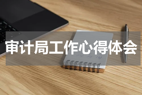审计局工作心得体会