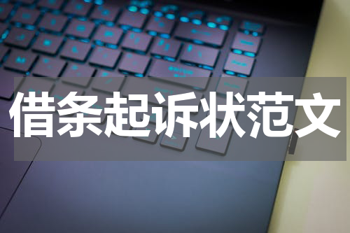 借条起诉状范文