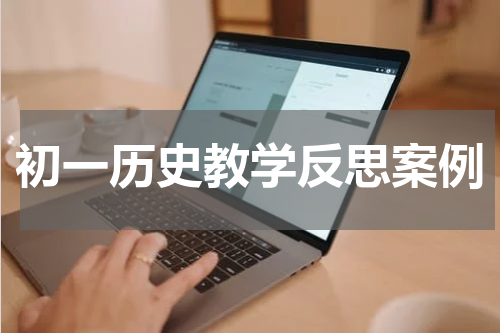 初一历史教学反思案例