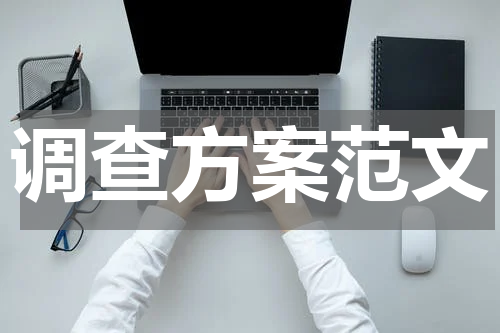 调查方案范文